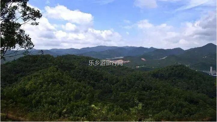 <a href=http://www.lexiangyou.org/xiangcunlvyou/ target=_blank class=infotextkey>乡村旅游</a>：金煌芒果，皮薄肉厚核小，清香蜜甜；承包整棵树，够晒过瘾