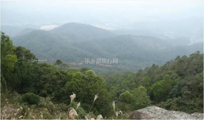 <a href=http://www.lexiangyou.org/xiangcunlvyou/ target=_blank class=infotextkey>乡村旅游</a>：金煌芒果，皮薄肉厚核小，清香蜜甜；承包整棵树，够晒过瘾