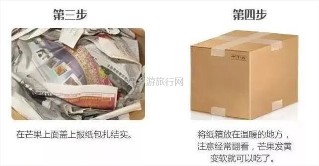 <a href=http://www.lexiangyou.org/xiangcunlvyou/ target=_blank class=infotextkey>乡村旅游</a>：金煌芒果，皮薄肉厚核小，清香蜜甜；承包整棵树，够晒过瘾