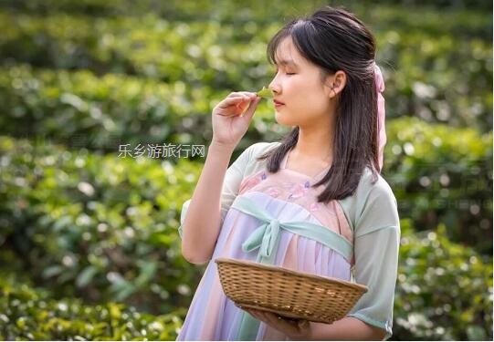 <a href=http://www.lexiangyou.org/xiangcunlvyou/ target=_blank class=infotextkey>乡村旅游</a>：<a href=http://www.lexiangyou.org/xiangcunlvyou/ target=_blank class=infotextkey>乡村旅游</a>：全园畅游，优惠套票进行中...