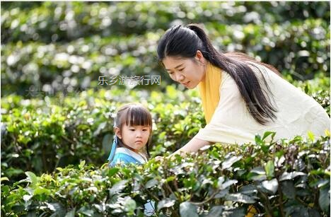 <a href=http://www.lexiangyou.org/xiangcunlvyou/ target=_blank class=infotextkey>乡村旅游</a>：<a href=http://www.lexiangyou.org/xiangcunlvyou/ target=_blank class=infotextkey>乡村旅游</a>：全园畅游，优惠套票进行中...
