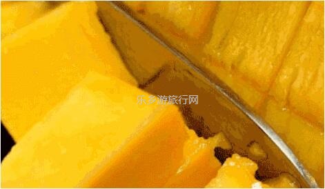 <a href=http://www.lexiangyou.org/xiangcunlvyou/ target=_blank class=infotextkey>乡村旅游</a>：金煌芒果，皮薄肉厚核小，清香蜜甜；承包整棵树，够晒过瘾