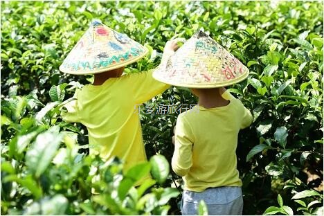 <a href=http://www.lexiangyou.org/xiangcunlvyou/ target=_blank class=infotextkey>乡村旅游</a>：<a href=http://www.lexiangyou.org/xiangcunlvyou/ target=_blank class=infotextkey>乡村旅游</a>：全园畅游，优惠套票进行中...