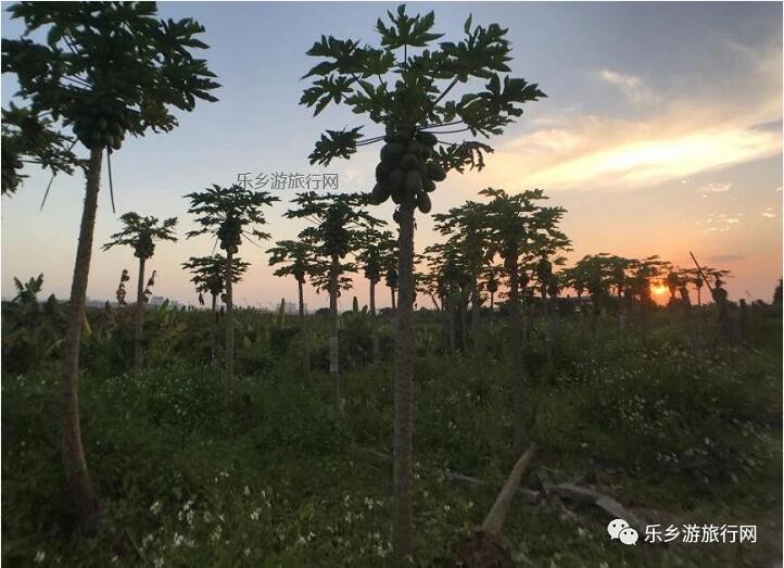 <a href=http://www.lexiangyou.org/xiangcunlvyou/ target=_blank class=infotextkey>乡村旅游</a>：醉美江景！自游摘果+野炊，在骑行中放飞梦想......
