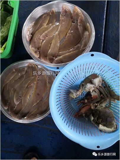 <a href=http://www.lexiangyou.org/xiangcunlvyou/ target=_blank class=infotextkey>乡村旅游</a>：假期出海游，在海浪中即时品尝美味海鲜，仲有...