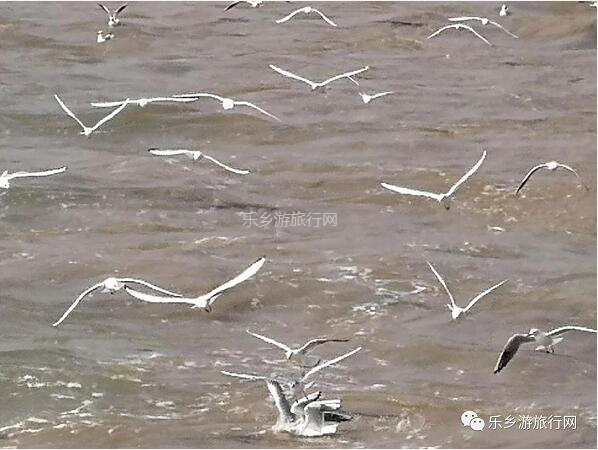 <a href=http://www.lexiangyou.org/xiangcunlvyou/ target=_blank class=infotextkey>乡村旅游</a>：假期出海游，在海浪中即时品尝美味海鲜，仲有...