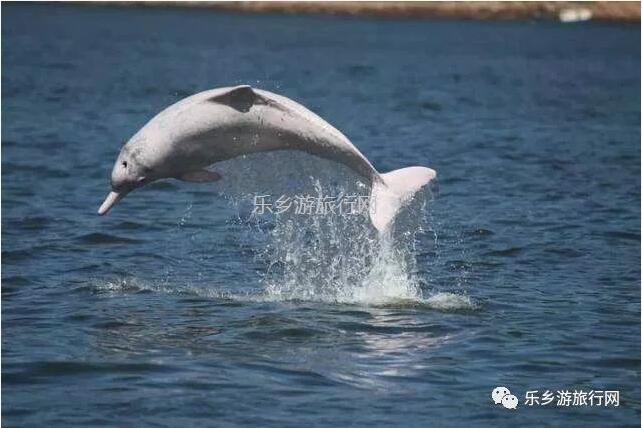 <a href=http://www.lexiangyou.org/xiangcunlvyou/ target=_blank class=infotextkey>乡村旅游</a>：假期出海游，在海浪中即时品尝美味海鲜，仲有...