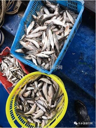 <a href=http://www.lexiangyou.org/xiangcunlvyou/ target=_blank class=infotextkey>乡村旅游</a>：假期出海游，在海浪中即时品尝美味海鲜，仲有...