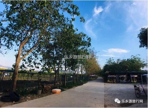<a href=http://www.lexiangyou.org/xiangcunlvyou/ target=_blank class=infotextkey>乡村旅游</a>：醉美江景！自游摘果+野炊，在骑行中放飞梦想......