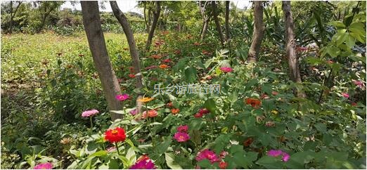 <a href=http://www.lexiangyou.org/xiangcunlvyou/ target=_blank class=infotextkey>乡村旅游</a>：五一亲子共欢乐，绿水清江休闲游