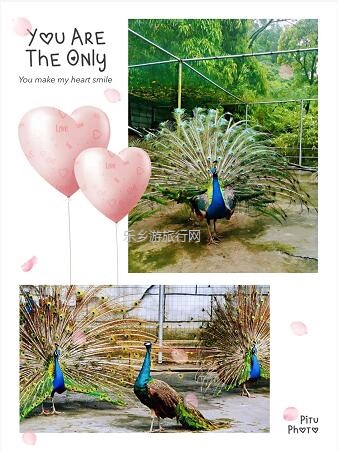 <a href=http://www.lexiangyou.org/xiangcunlvyou/ target=_blank class=infotextkey>乡村旅游</a>：畅游生态景区！欢度六一，儿童三天免票游玩