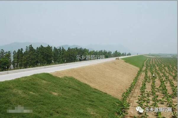 <a href=http://www.lexiangyou.org/xiangcunlvyou/ target=_blank class=infotextkey>乡村旅游</a>：夏黑葡萄熟了，仲有新鲜鸡蛋和葡萄鸡...