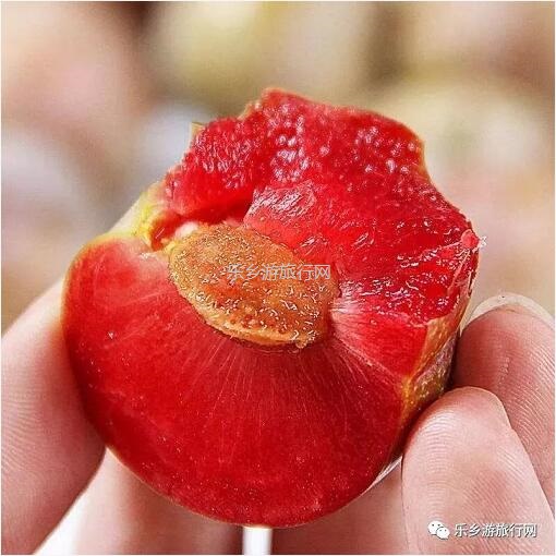 <a href=http://www.lexiangyou.org/xiangcunlvyou/ target=_blank class=infotextkey>乡村旅游</a>：正宗翁源美味，原生态种植；果大肉厚，爽脆清甜