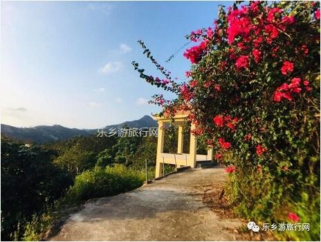 <a href=http://www.lexiangyou.org/xiangcunlvyou/ target=_blank class=infotextkey>乡村旅游</a>：爽脆香蜜！一齐采摘品尝，仲有农家菜+煮饭仔...