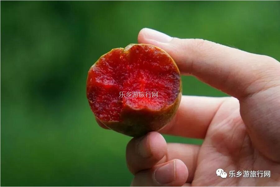 <a href=http://www.lexiangyou.org/xiangcunlvyou/ target=_blank class=infotextkey>乡村旅游</a>：正宗翁源美味，原生态种植；果大肉厚，爽脆清甜