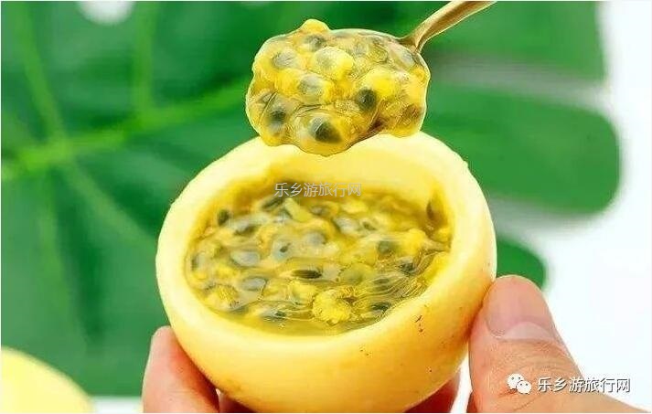 <a href=http://www.lexiangyou.org/xiangcunlvyou/ target=_blank class=infotextkey>乡村旅游</a>：新鲜采摘！沁人心脾的香味，酸甜可口的果汁