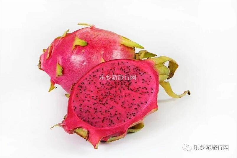 <a href=http://www.lexiangyou.org/xiangcunlvyou/ target=_blank class=infotextkey>乡村旅游</a>：欣赏果花，品尝火红鲜甜的果肉；就在果园煮饭食？