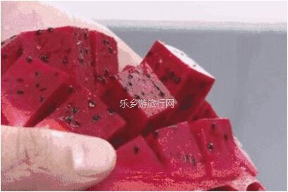 <a href=http://www.lexiangyou.org/xiangcunlvyou/ target=_blank class=infotextkey>乡村旅游</a>：欣赏果花，品尝火红鲜甜的果肉；就在果园煮饭食？