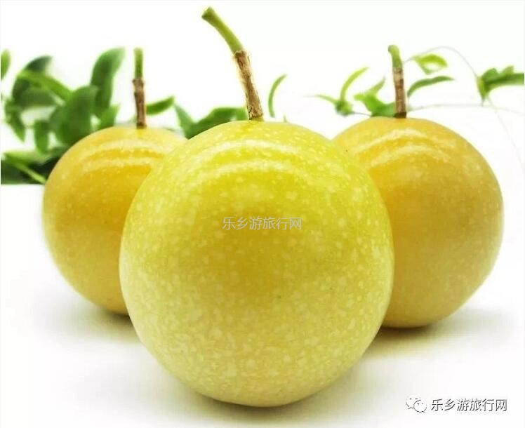 <a href=http://www.lexiangyou.org/xiangcunlvyou/ target=_blank class=infotextkey>乡村旅游</a>：新鲜采摘！沁人心脾的香味，酸甜可口的果汁
