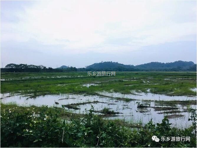 <a href=http://www.lexiangyou.org/xiangcunlvyou/ target=_blank class=infotextkey>乡村旅游</a>：中山崖口 | 欣赏崖口候鸟，品尝地道美食，入住网红民宿