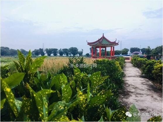 <a href=http://www.lexiangyou.org/xiangcunlvyou/ target=_blank class=infotextkey>乡村旅游</a>：中山崖口 | 欣赏崖口候鸟，品尝地道美食，入住网红民宿