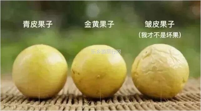 <a href=http://www.lexiangyou.org/xiangcunlvyou/ target=_blank class=infotextkey>乡村旅游</a>：中山民众丨水果农场2大1小套票，观看水乡表演，现摘番石榴|百香果|火龙果|杨桃|木瓜...