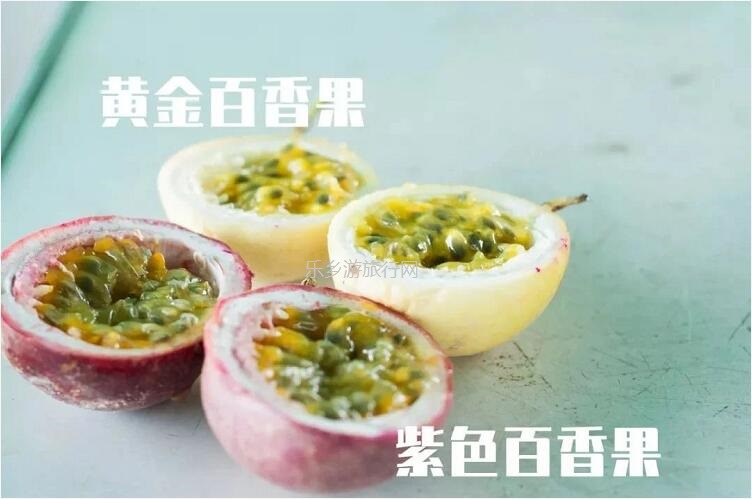 <a href=http://www.lexiangyou.org/xiangcunlvyou/ target=_blank class=infotextkey>乡村旅游</a>：中山民众丨水果农场2大1小套票，观看水乡表演，现摘番石榴|百香果|火龙果|杨桃|木瓜...