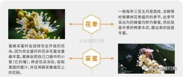 <a href=http://www.lexiangyou.org/xiangcunlvyou/ target=_blank class=infotextkey>乡村旅游</a>：潮州特色产品，自用送礼，甜蜜一辈子