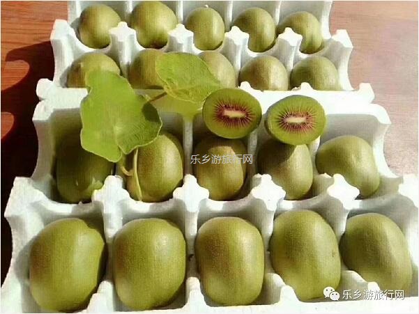 <a href=http://www.lexiangyou.org/xiangcunlvyou/ target=_blank class=infotextkey>乡村旅游</a>：湘西原生态水果，味道是草莓+香蕉+菠萝的混合，营养丰富