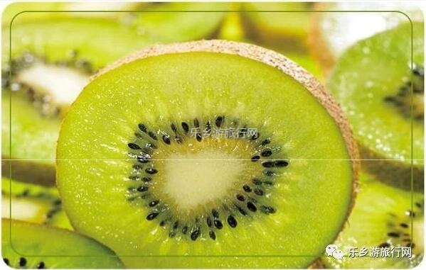 <a href=http://www.lexiangyou.org/xiangcunlvyou/ target=_blank class=infotextkey>乡村旅游</a>：湘西原生态水果，味道是草莓+香蕉+菠萝的混合，营养丰富