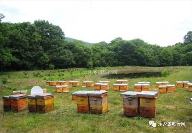 <a href=http://www.lexiangyou.org/xiangcunlvyou/ target=_blank class=infotextkey>乡村旅游</a>：潮州特色产品，自用送礼，甜蜜一辈子