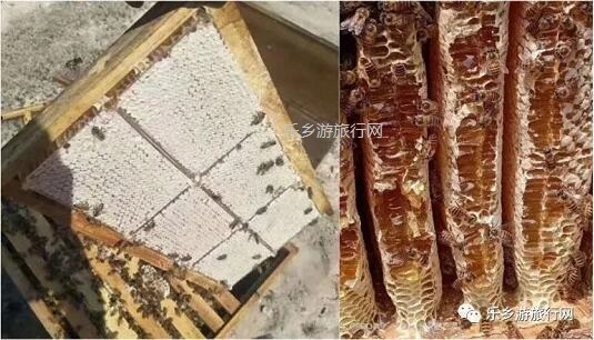 <a href=http://www.lexiangyou.org/xiangcunlvyou/ target=_blank class=infotextkey>乡村旅游</a>：潮州特色产品，自用送礼，甜蜜一辈子