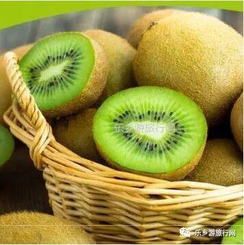 <a href=http://www.lexiangyou.org/xiangcunlvyou/ target=_blank class=infotextkey>乡村旅游</a>：湘西原生态水果，味道是草莓+香蕉+菠萝的混合，营养丰富