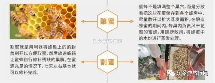 <a href=http://www.lexiangyou.org/xiangcunlvyou/ target=_blank class=infotextkey>乡村旅游</a>：潮州特色产品，自用送礼，甜蜜一辈子