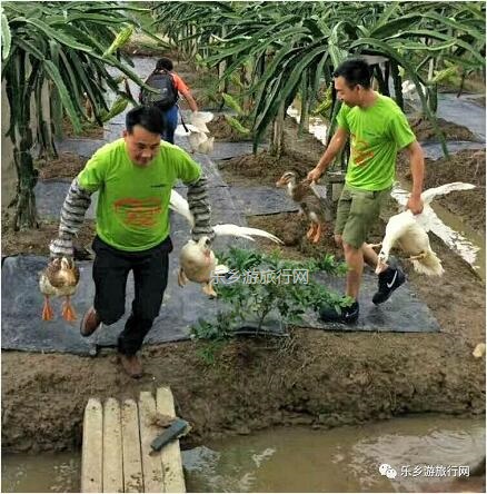 <a href=http://www.lexiangyou.org/xiangcunlvyou/ target=_blank class=infotextkey>乡村旅游</a>：中山有个小岛，在水一方景色如画，采摘水果+品尝农家美食...