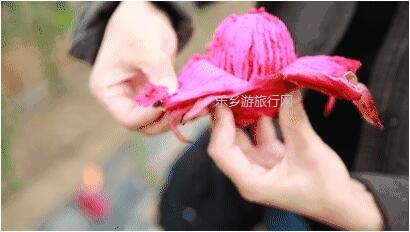 <a href=http://www.lexiangyou.org/xiangcunlvyou/ target=_blank class=infotextkey>乡村旅游</a>：中山有个小岛，在水一方景色如画，采摘水果+品尝农家美食...