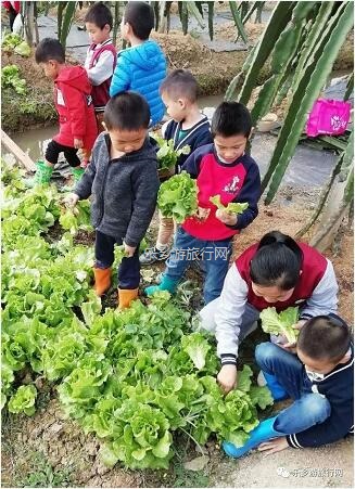 <a href=http://www.lexiangyou.org/xiangcunlvyou/ target=_blank class=infotextkey>乡村旅游</a>：中山有个小岛，在水一方景色如画，采摘水果+品尝农家美食...