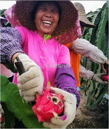 <a href=http://www.lexiangyou.org/xiangcunlvyou/ target=_blank class=infotextkey>乡村旅游</a>：中山有个小岛，在水一方景色如画，采摘水果+品尝农家美食...