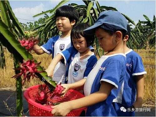 <a href=http://www.lexiangyou.org/xiangcunlvyou/ target=_blank class=infotextkey>乡村旅游</a>：中山有个小岛，在水一方景色如画，采摘水果+品尝农家美食...
