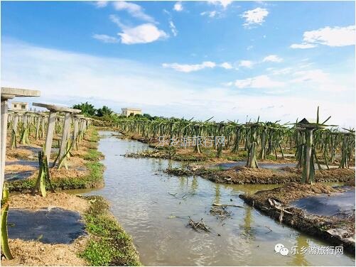 <a href=http://www.lexiangyou.org/xiangcunlvyou/ target=_blank class=infotextkey>乡村旅游</a>：中山有个小岛，在水一方景色如画，采摘水果+品尝农家美食...