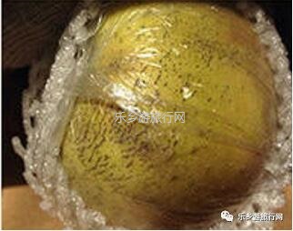 <a href=http://www.lexiangyou.org/xiangcunlvyou/ target=_blank class=infotextkey>乡村旅游</a>：冰糖心苹果熟了，果大肉细，甜脆多汁，原产地即摘即发