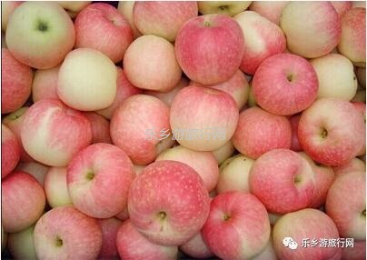 <a href=http://www.lexiangyou.org/xiangcunlvyou/ target=_blank class=infotextkey>乡村旅游</a>：冰糖心苹果熟了，果大肉细，甜脆多汁，原产地即摘即发