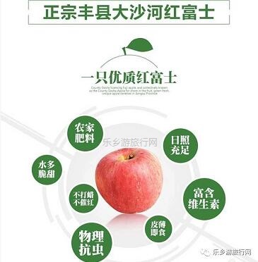 <a href=http://www.lexiangyou.org/xiangcunlvyou/ target=_blank class=infotextkey>乡村旅游</a>：冰糖心苹果熟了，果大肉细，甜脆多汁，原产地即摘即发