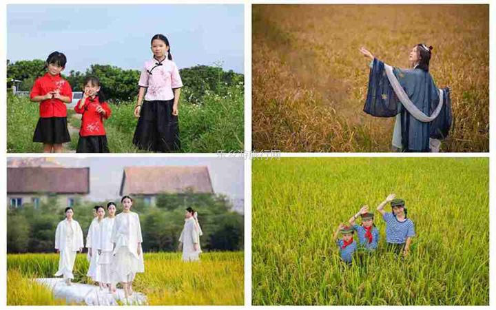 <a href=http://www.lexiangyou.org/xiangcunlvyou/ target=_blank class=infotextkey>乡村旅游</a>：2020年中山南朗稻田音乐节，视听盛宴和农家节目让你玩得开心