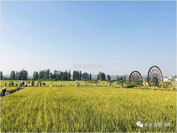 <a href=http://www.lexiangyou.org/xiangcunlvyou/ target=_blank class=infotextkey>乡村旅游</a>：2020年中山南朗稻田音乐节，视听盛宴和农家节目让你玩得开心
