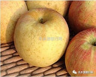 <a href=http://www.lexiangyou.org/xiangcunlvyou/ target=_blank class=infotextkey>乡村旅游</a>：冰糖心苹果熟了，果大肉细，甜脆多汁，原产地即摘即发