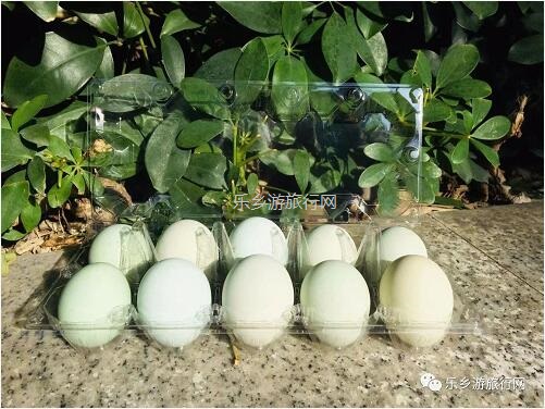 <a href=http://www.lexiangyou.org/xiangcunlvyou/ target=_blank class=infotextkey>乡村旅游</a>：这里是野炊和烧烤的乐园，皇帝柑任你品尝