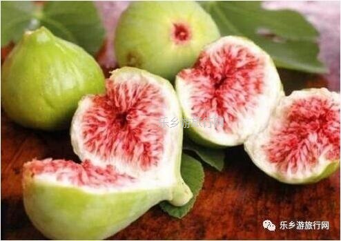 <a href=http://www.lexiangyou.org/xiangcunlvyou/ target=_blank class=infotextkey>乡村旅游</a>：[无花果膏] 止咳祛痰、消肿解毒