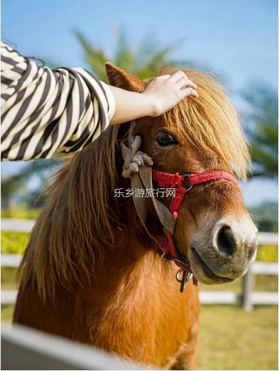 <a href=http://www.lexiangyou.org/xiangcunlvyou/ target=_blank class=infotextkey>乡村旅游</a>：[错峰] 体验农耕田园生活，生态农业观光采摘+儿童野趣游乐