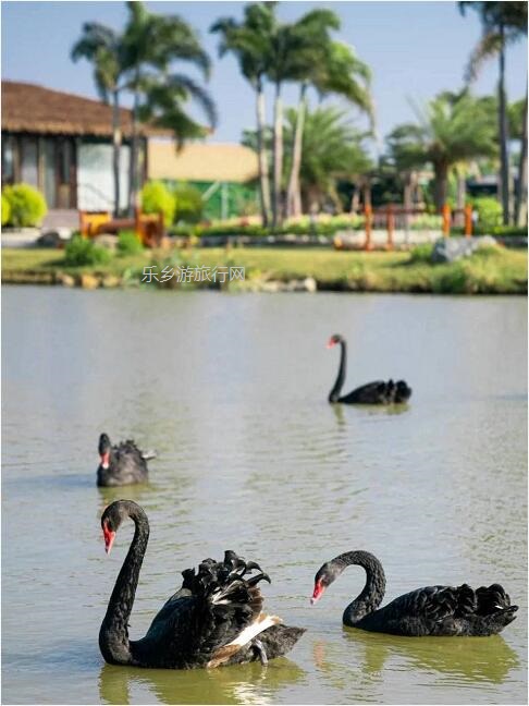 <a href=http://www.lexiangyou.org/xiangcunlvyou/ target=_blank class=infotextkey>乡村旅游</a>：[错峰] 体验农耕田园生活，生态农业观光采摘+儿童野趣游乐